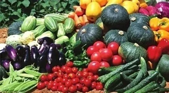 质量安全 食用农产品合格证是什么 这种蔬菜,不用土不打药,接盆自来水撒一把菜籽,7天就能吃